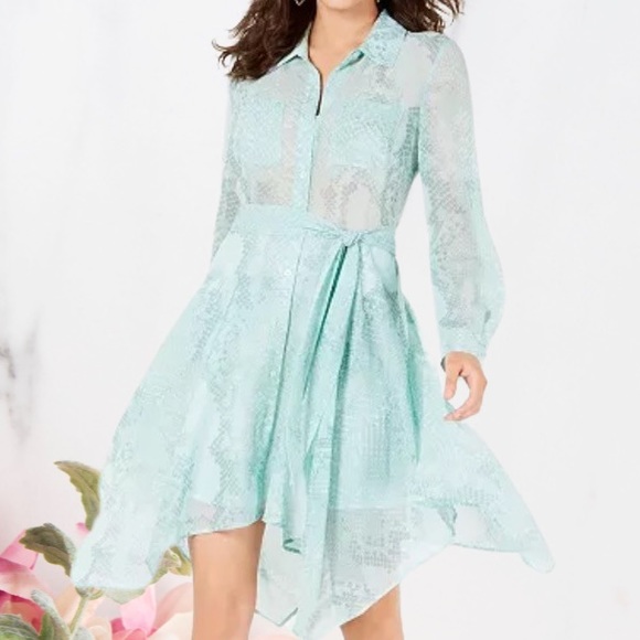 SOLD- Guess Nykki Shirt Dress ~ NWT ~ Sz M - Picture 2 of 9